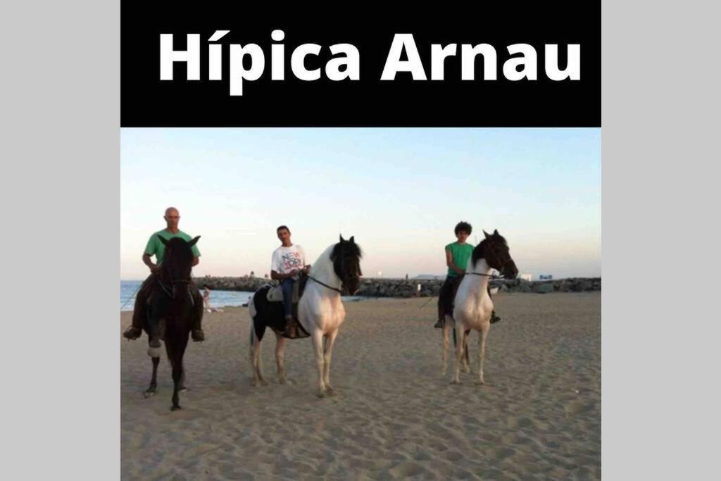 Apartamento Para 4 Personas A 200 M De La Playa. Apartman Empuriabrava Kültér fotó
